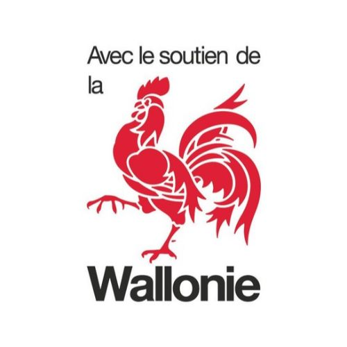 logo soutien wallonie 500x500 Répit TSA à domicile avec le soutien de la Wallonie